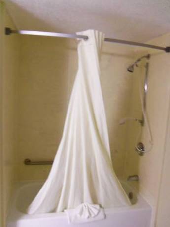 Imagen de la habitación del Hotel Super 8 By Wyndham Knoxville West/farragut. Foto 3