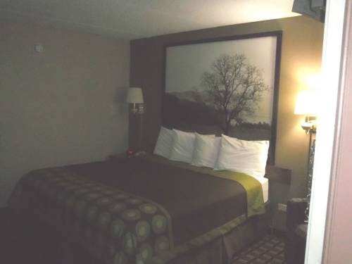Imagen de la habitación del Hotel Super 8 By Wyndham Knoxville West/farragut. Foto 13