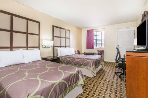 Imagen de la habitación del Hotel Super 8 By Wyndham Lake City. Foto 9