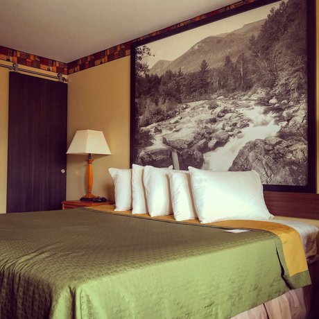 Imagen de la habitación del Hotel Super 8 By Wyndham Lake George/downtown. Foto 4