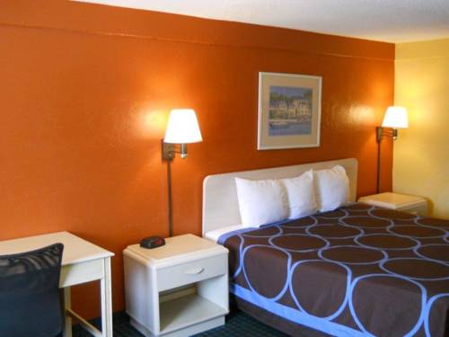 Imagen de la habitación del Hotel Super 8 By Wyndham Lantana West Palm Beach. Foto 10