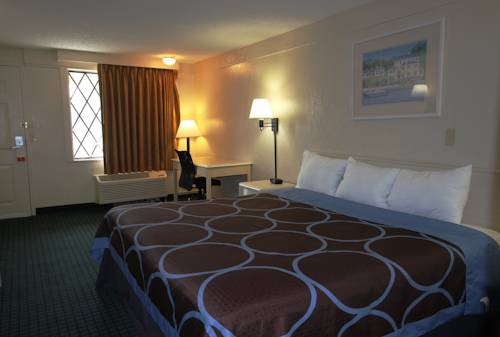 Imagen de la habitación del Hotel Super 8 By Wyndham Lantana West Palm Beach. Foto 14