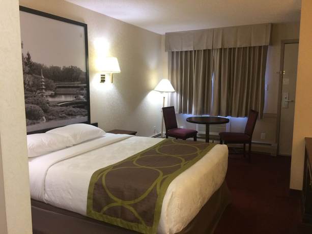 Imagen de la habitación del Hotel Super 8 By Wyndham Lethbridge. Foto 4