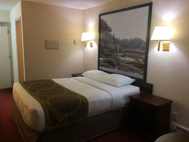Imagen de la habitación del Hotel Super 8 By Wyndham Lethbridge. Foto 11