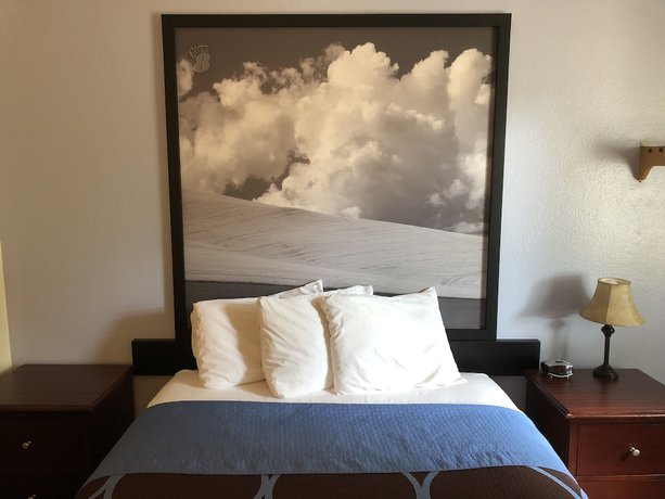 Imagen de la habitación del Hotel Super 8 By Wyndham Lewiston. Foto 4