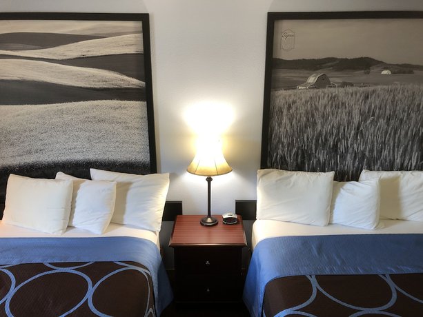 Imagen de la habitación del Hotel Super 8 By Wyndham Lewiston. Foto 12