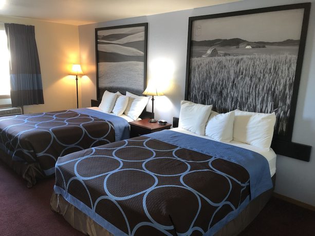 Imagen de la habitación del Hotel Super 8 By Wyndham Lewiston. Foto 15