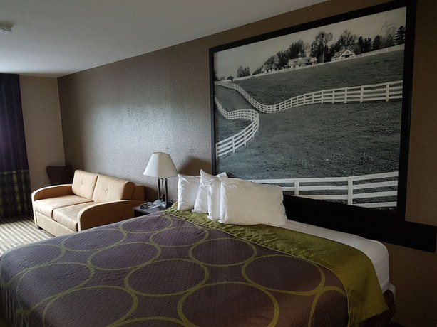 Imagen de la habitación del Hotel Super 8 By Wyndham Lexington/hamburg Area. Foto 6