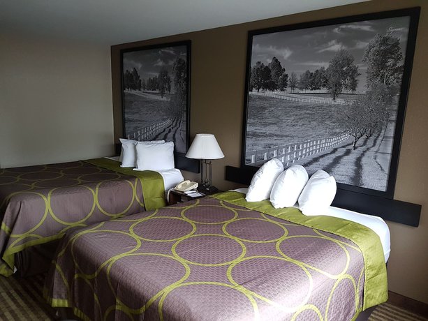 Imagen de la habitación del Hotel Super 8 By Wyndham Lexington/hamburg Area. Foto 15