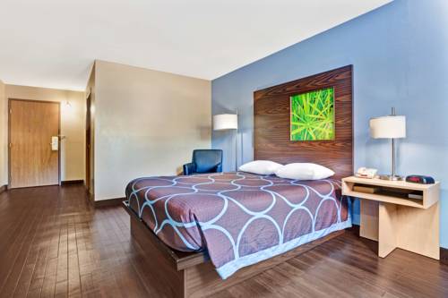 Imagen de la habitación del Hotel Super 8 By Wyndham Louisville Airport. Foto 11