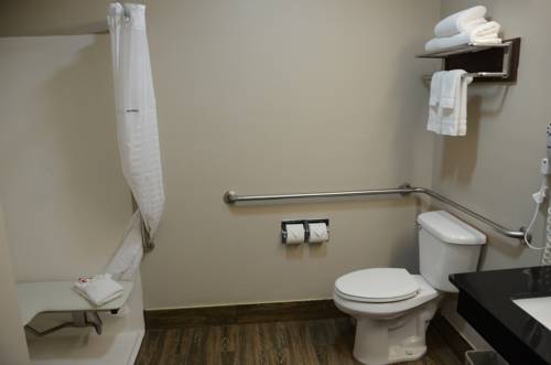 Imagen de la habitación del Hotel Super 8 By Wyndham Louisville/expo Center. Foto 4