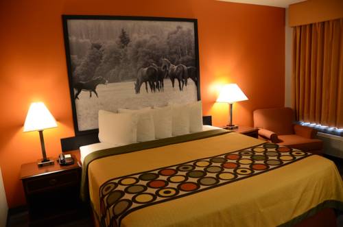 Imagen de la habitación del Hotel Super 8 By Wyndham Louisville/expo Center. Foto 6