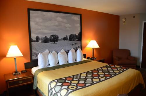 Imagen de la habitación del Hotel Super 8 By Wyndham Louisville/expo Center. Foto 12