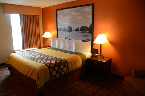 Imagen de la habitación del Hotel Super 8 By Wyndham Louisville/expo Center. Foto 13
