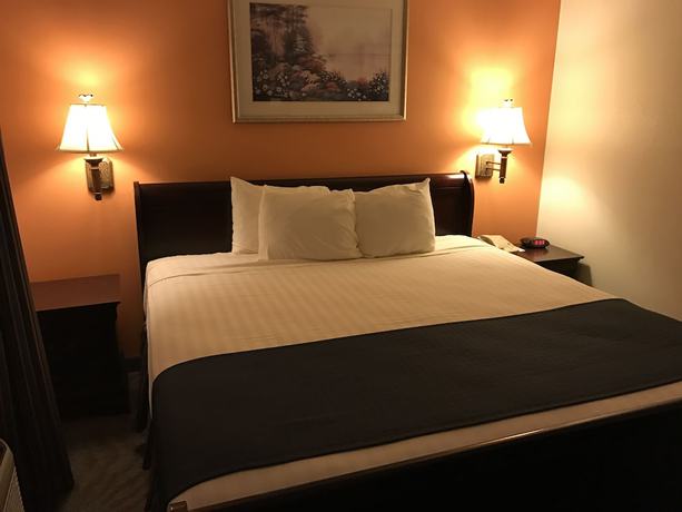 Imagen de la habitación del Hotel Super 8 By Wyndham Lubbock West. Foto 16