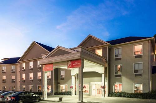 Imagen general del Hotel Super 8 By Wyndham Midland. Foto 2