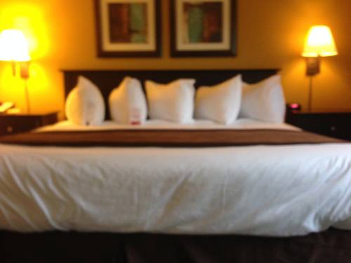 Imagen de la habitación del Hotel Super 8 By Wyndham Midland. Foto 5