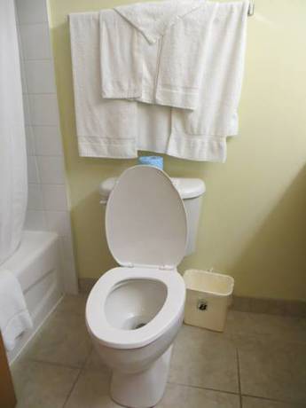 Imagen de la habitación del Hotel Super 8 By Wyndham Midland. Foto 8