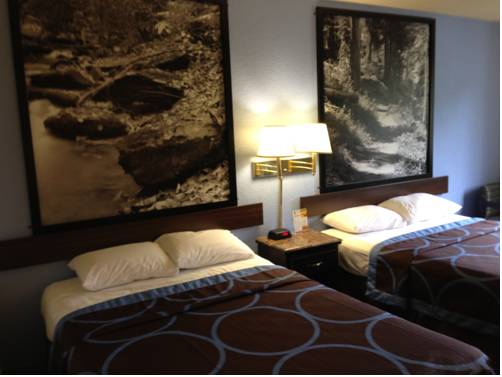 Imagen de la habitación del Hotel Super 8 By Wyndham New Castle, New Castle. Foto 13