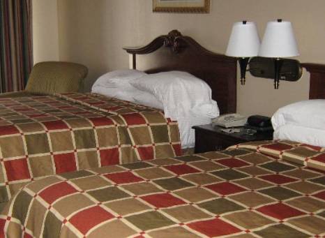 Imagen de la habitación del Hotel Super 8 By Wyndham New Iberia. Foto 2