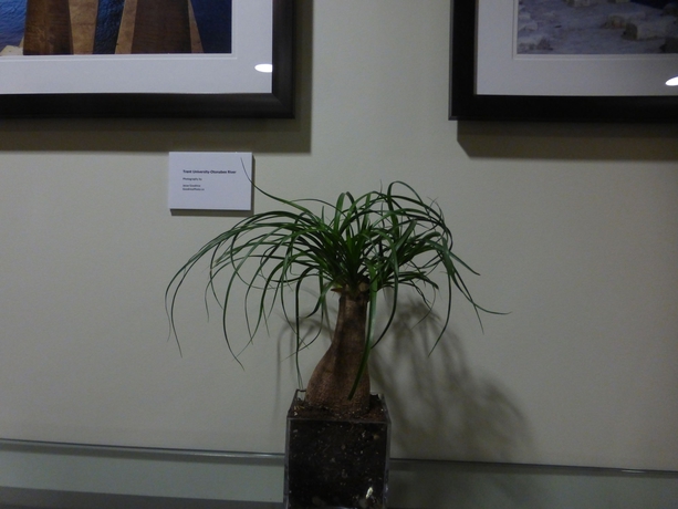 Imagen de los interiores del Hotel Super 8 By Wyndham Peterborough. Foto 14