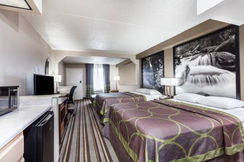 Imagen de la habitación del Hotel Super 8 By Wyndham Pigeon Forge Dollywood Lane. Foto 10