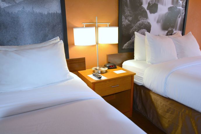 Imagen de la habitación del Hotel Super 8 By Wyndham Port Angeles At Olympic National Park. Foto 5