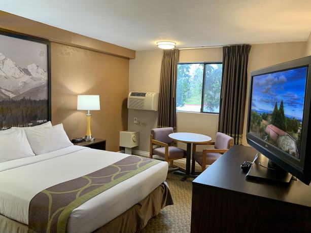 Imagen de la habitación del Hotel Super 8 By Wyndham Port Angeles At Olympic National Park. Foto 6