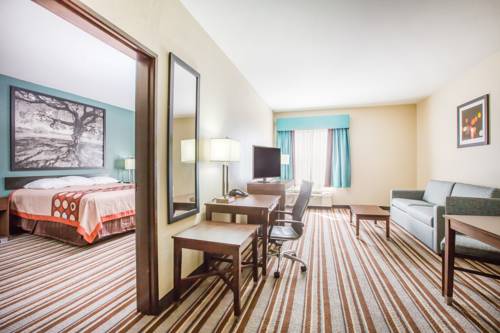 Imagen de la habitación del Hotel Super 8 By Wyndham Port Arthur/nederland Area. Foto 5