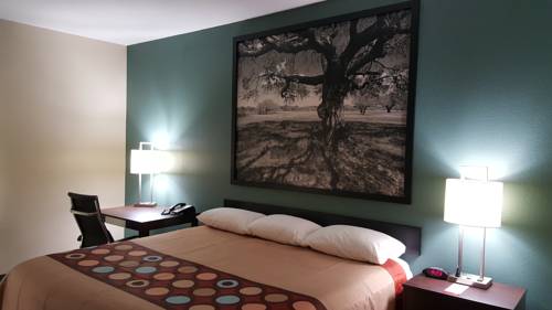 Imagen de la habitación del Hotel Super 8 By Wyndham Port Arthur/nederland Area. Foto 11