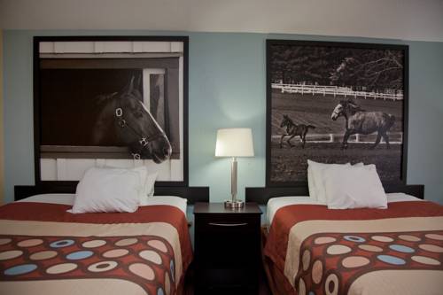 Imagen de la habitación del Hotel Super 8 By Wyndham Richmond, Richmond. Foto 14