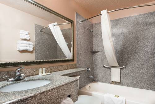 Imagen de la habitación del Hotel Super 8 By Wyndham San Antonio/i-35 North. Foto 4
