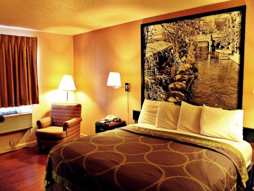 Imagen de la habitación del Hotel Super 8 By Wyndham San Antonio/i-35 North. Foto 10
