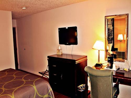 Imagen de la habitación del Hotel Super 8 By Wyndham San Antonio/i-35 North. Foto 12