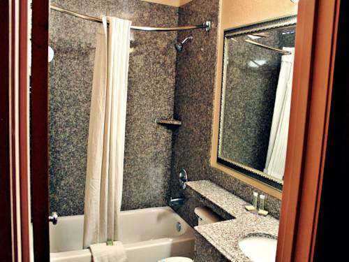 Imagen de la habitación del Hotel Super 8 By Wyndham San Antonio/i-35 North. Foto 13