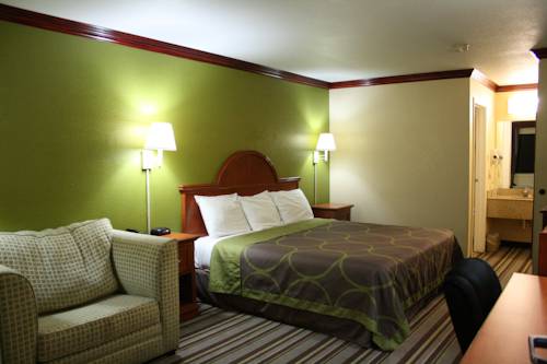 Imagen de la habitación del Hotel Super 8 By Wyndham San Marcos. Foto 6