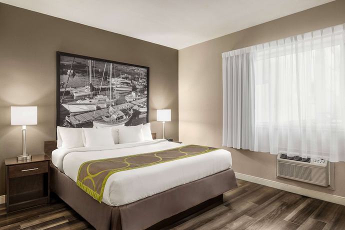 Imagen de la habitación del Hotel Super 8 By Wyndham Sarnia On. Foto 5