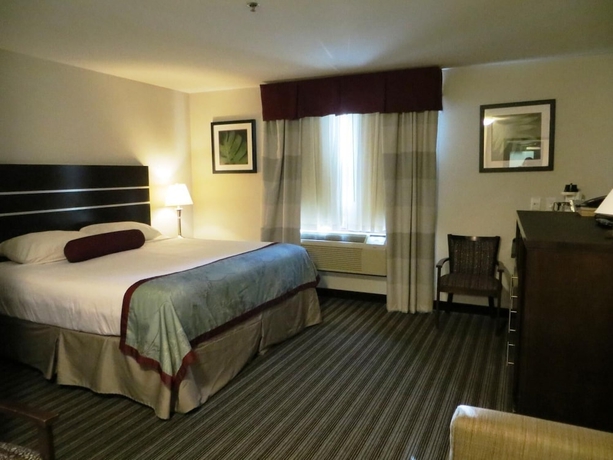 Imagen de la habitación del Hotel Super 8 By Wyndham Saskatoon Near Downtown. Foto 14
