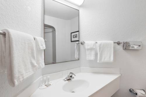 Imagen de la habitación del Hotel Super 8 By Wyndham Sault Ste. Marie. Foto 3