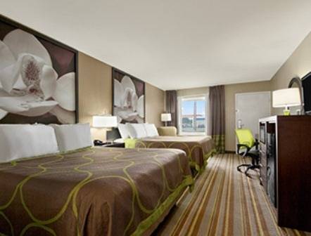 Imagen de la habitación del Hotel Super 8 By Wyndham Tupelo Airport. Foto 3