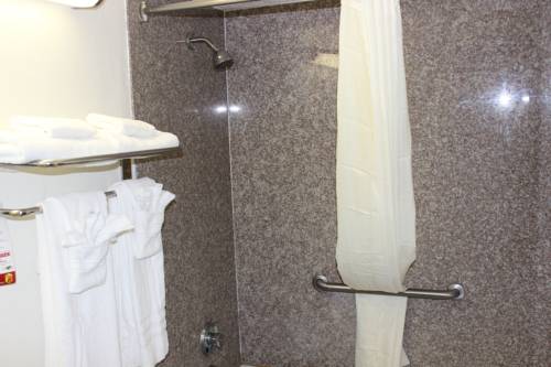 Imagen de la habitación del Hotel Super 8 By Wyndham Tuscaloosa. Foto 12