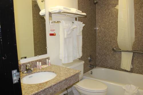 Imagen de la habitación del Hotel Super 8 By Wyndham Tuscaloosa. Foto 13