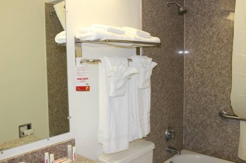 Imagen general del Hotel Super 8 By Wyndham Tuscaloosa. Foto 1
