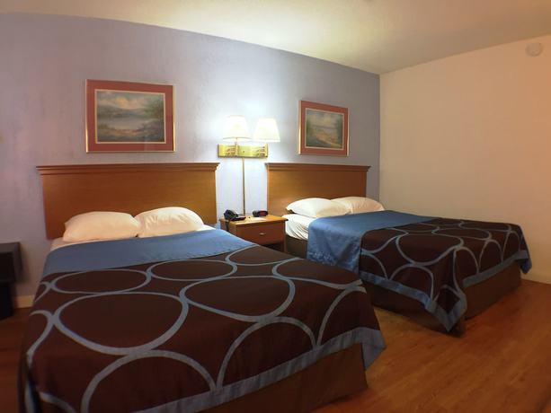 Imagen de la habitación del Hotel Super 8 By Wyndham Webster/rochester. Foto 2