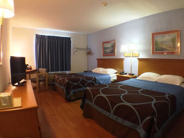 Imagen de la habitación del Hotel Super 8 By Wyndham Webster/rochester. Foto 3