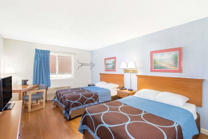 Imagen de la habitación del Hotel Super 8 By Wyndham Webster/rochester. Foto 5