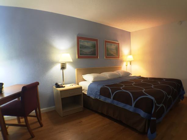 Imagen de la habitación del Hotel Super 8 By Wyndham Webster/rochester. Foto 15