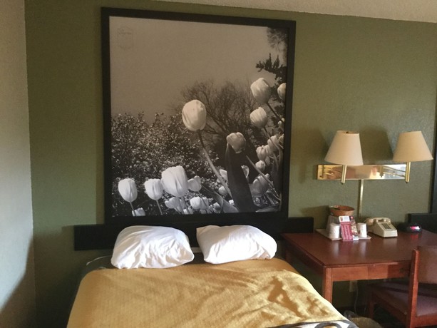 Imagen de la habitación del Hotel Super 8 By Wyndham Youngstown/austintown. Foto 6