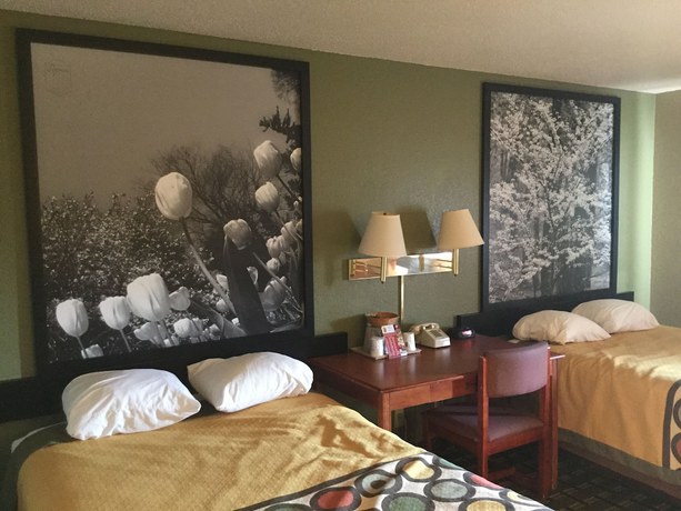 Imagen de la habitación del Hotel Super 8 By Wyndham Youngstown/austintown. Foto 10