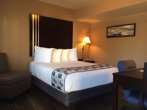 Imagen de la habitación del Hotel Super 8 by Wyndham Albany, Colonie. Foto 4